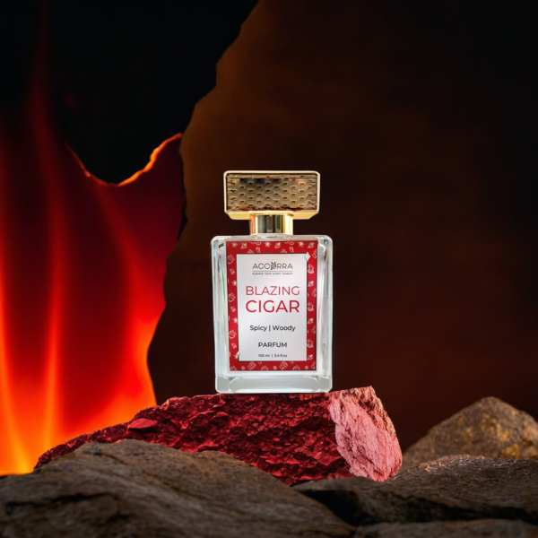 BLAZING CIGAR - Spicy Woody Bold Parfum - Image 2